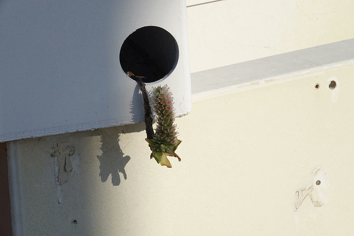 25-11-15 (158)-1.JPG