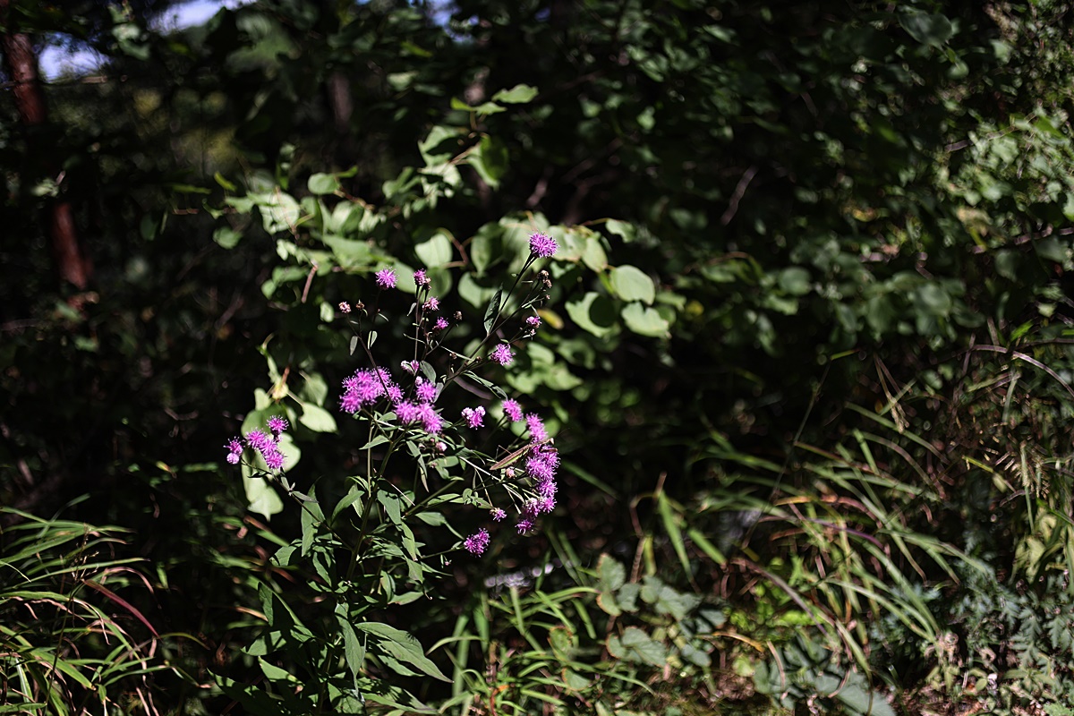 24-09-28 (191)-1.JPG
