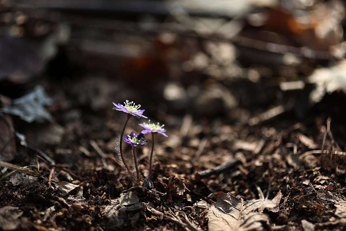 25-03-22 (118)-1.JPG