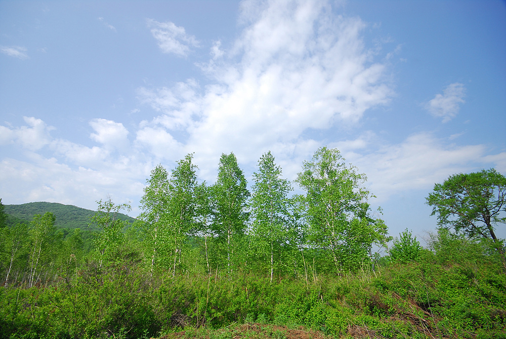 DSC_0058 b.jpg