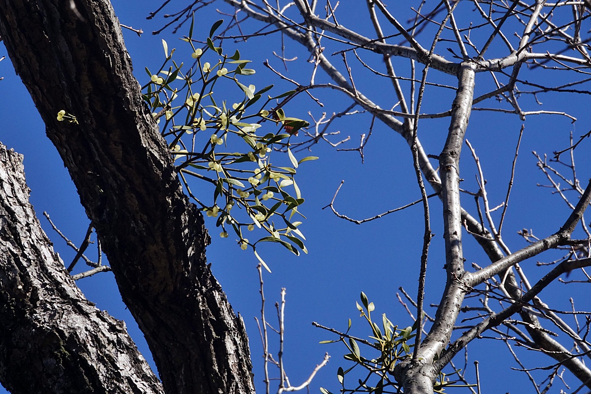 25-11-21 (110)-1.JPG