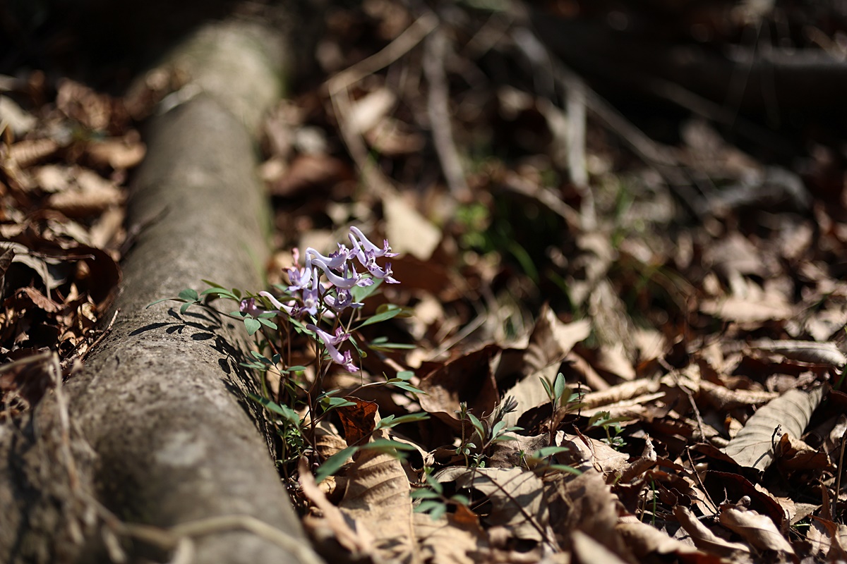 25-03-22 (127)-1.JPG