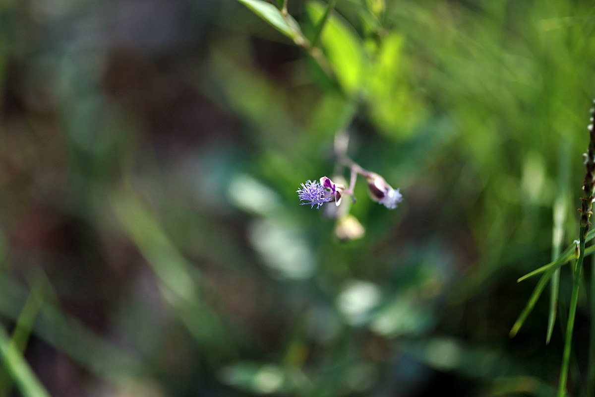 25-06-01 (11)-1.JPG