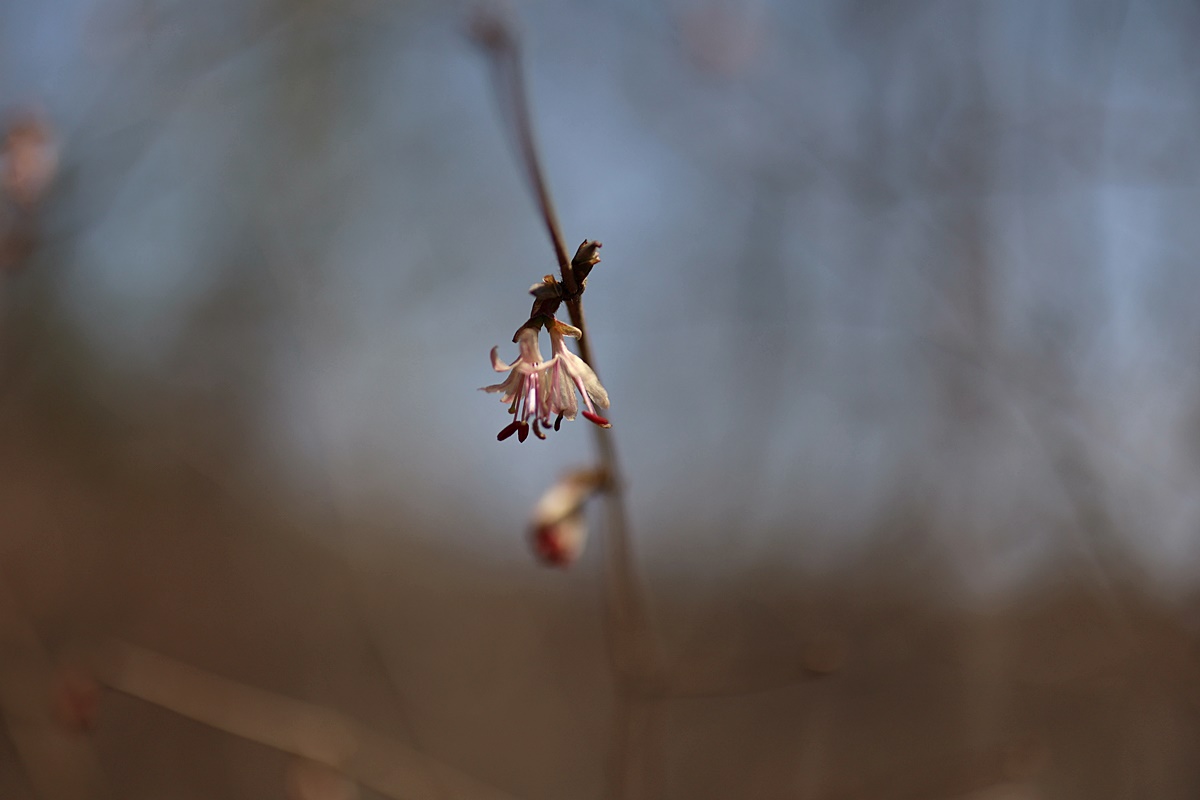 25-03-21 (115)-1.JPG