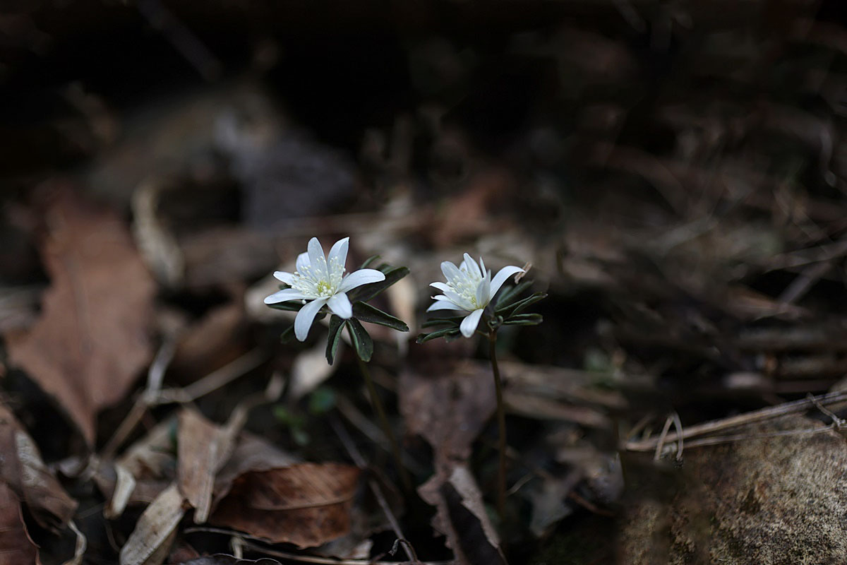 25-03-23 (148)-1.JPG