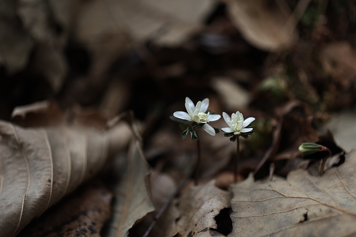 25-03-23 (172)-1.JPG