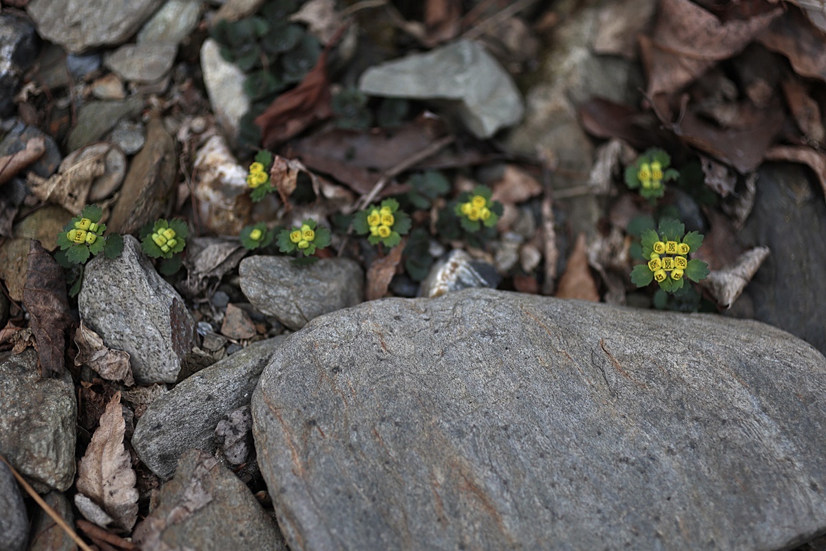 25-03-23 (179)-1.JPG