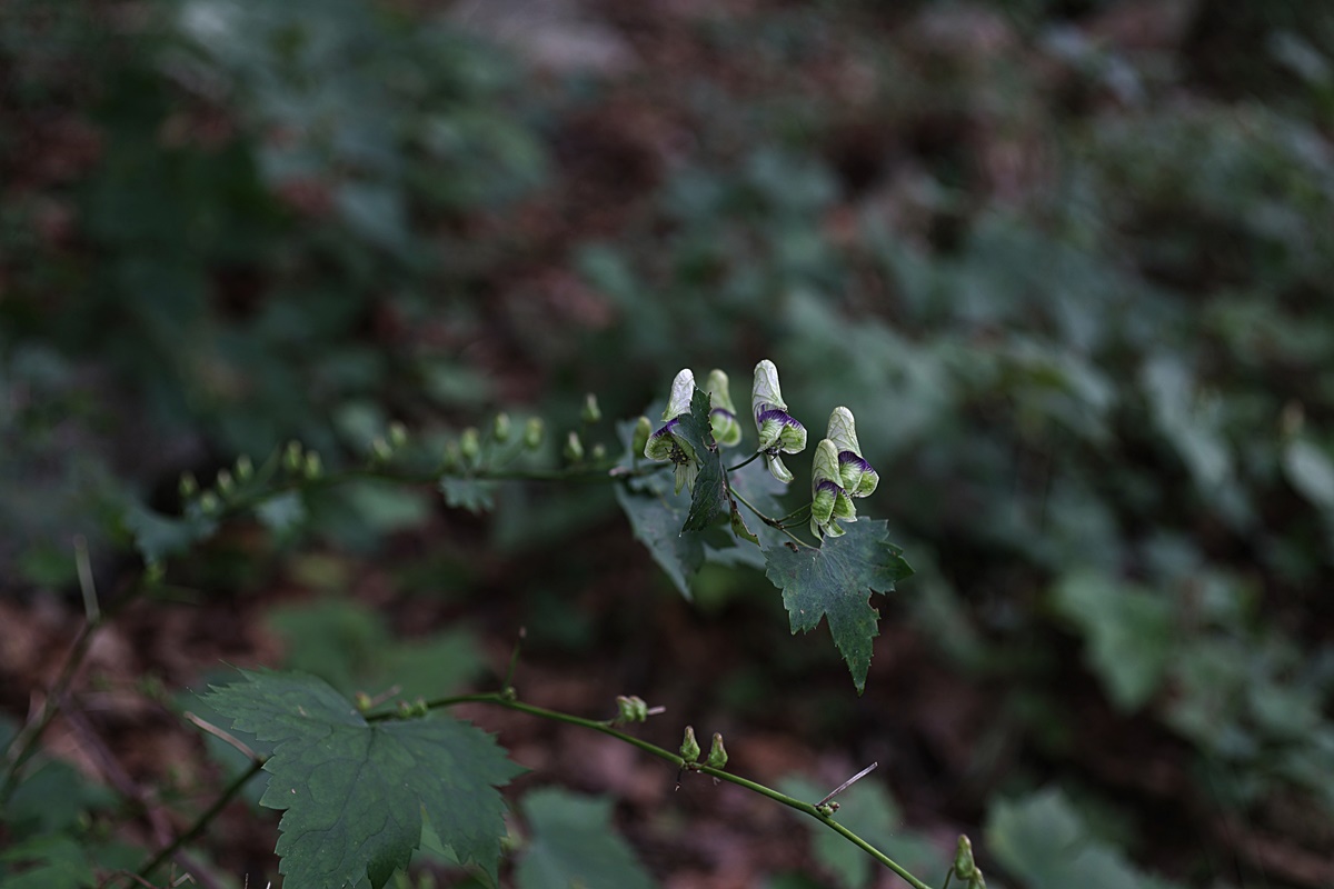 25-09-27 (152)-1.JPG