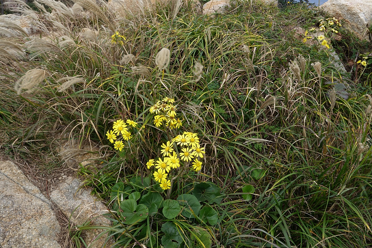 25-11-08 (109)-1.JPG