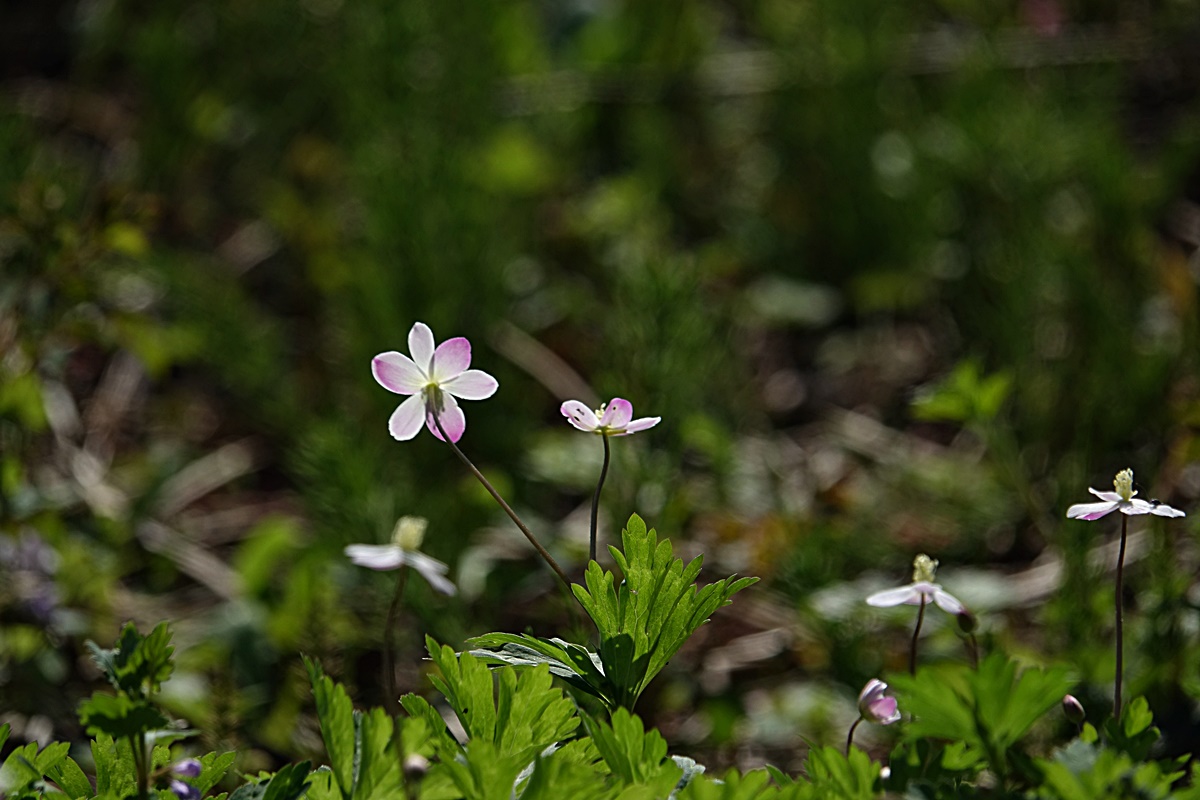 23-04-07 (20)-1.JPG