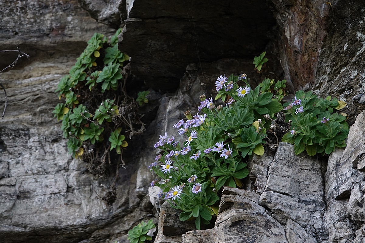 25-10-27 (162)-1.JPG