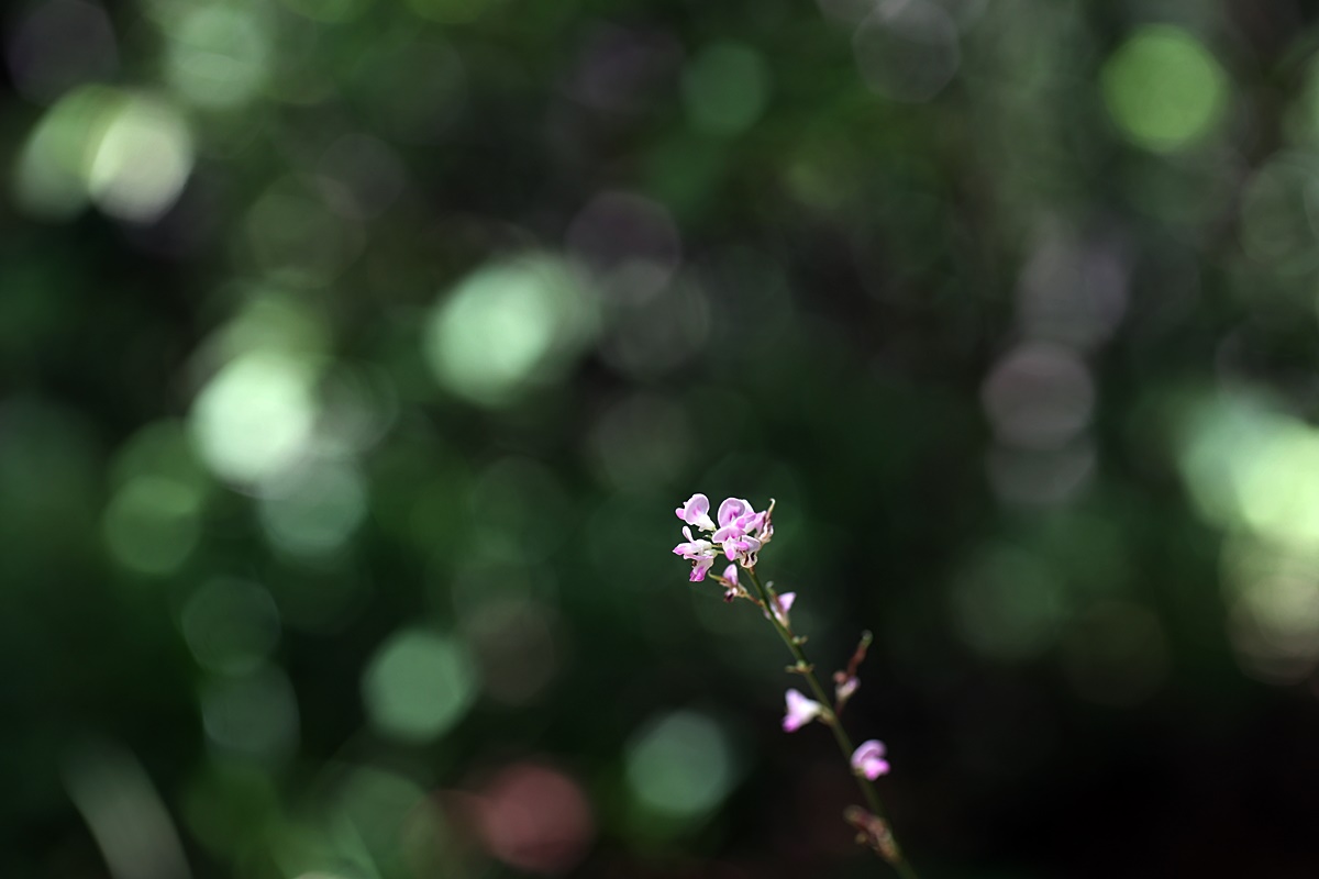 23-07-28 (282)-1.JPG