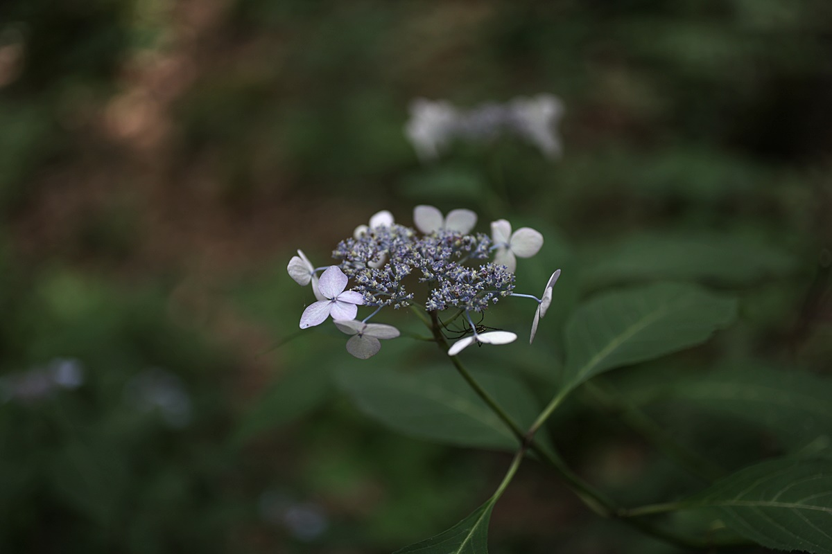 24-06-26 (26)-1.JPG
