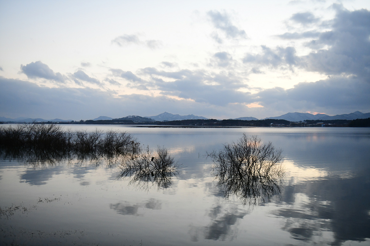 DSC_8624.jpg