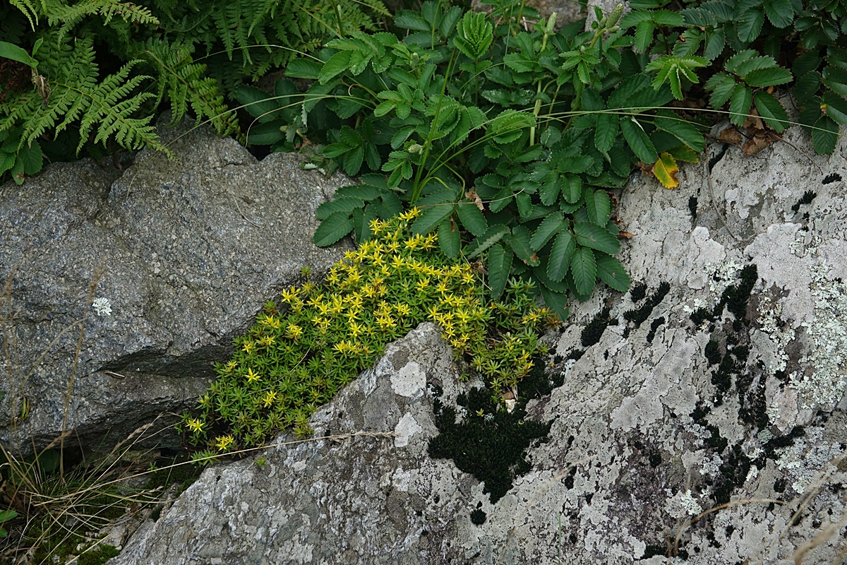 24-07-22 (351)-1.JPG