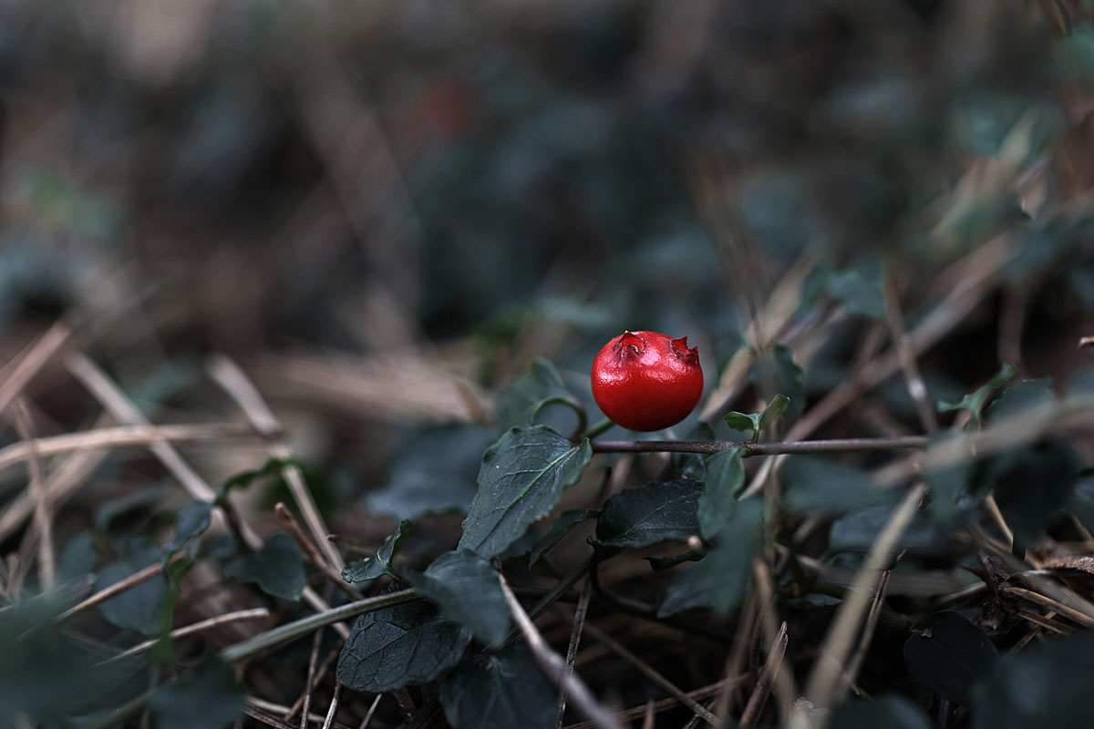 25-10-30 (134)-1.JPG