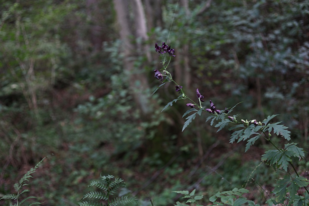 25-09-27 (207)-1.JPG