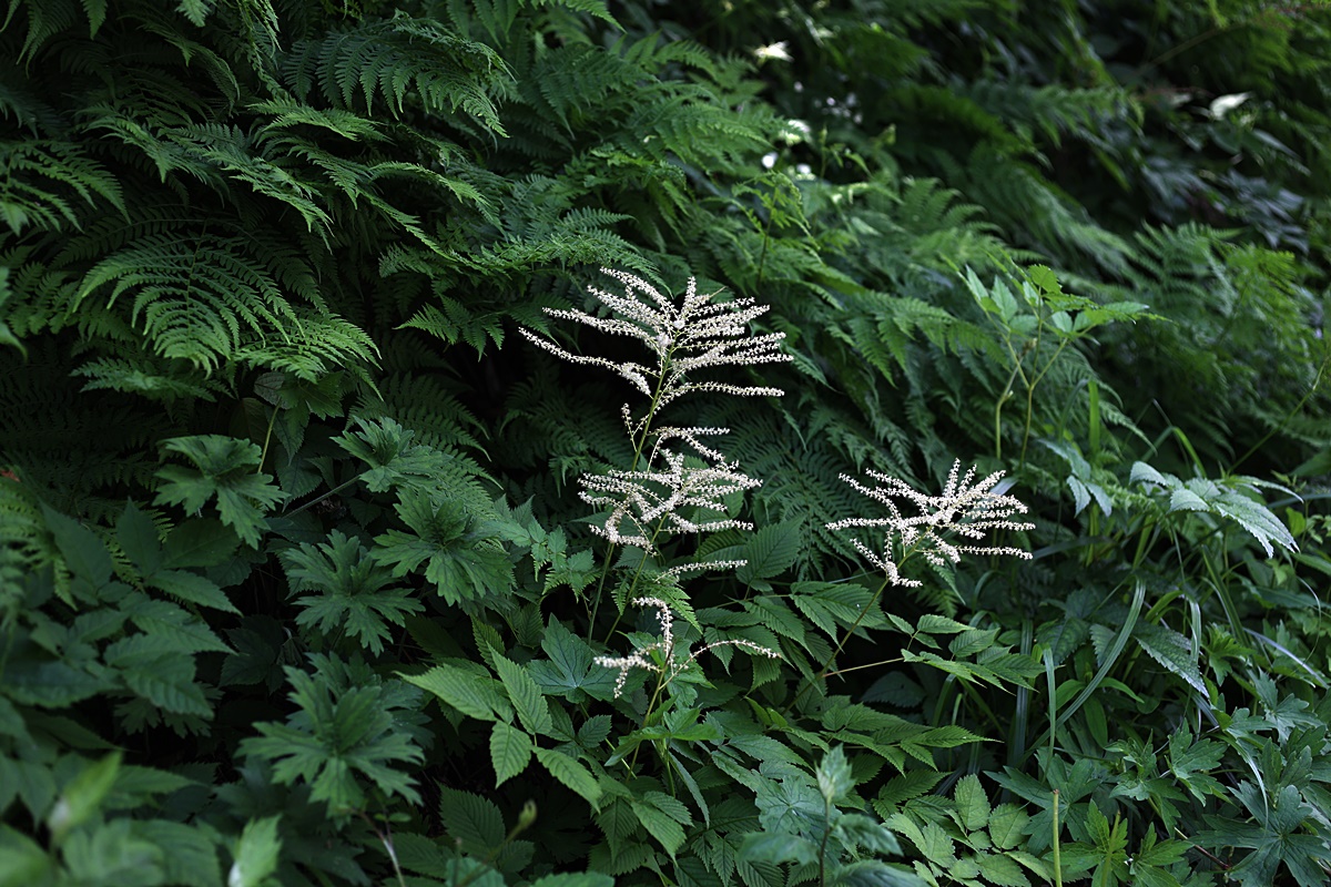 23-06-24 (157)-1.JPG