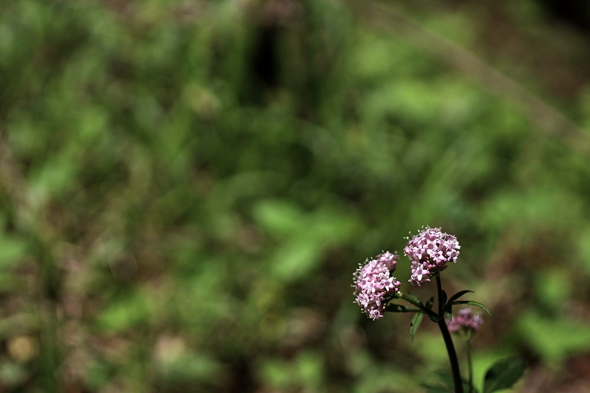 23-05-20 (292)-1.JPG